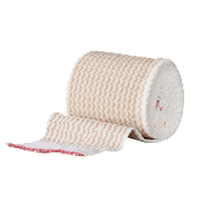 Elastic Bandage with SC 2" x 5 yds - R228102